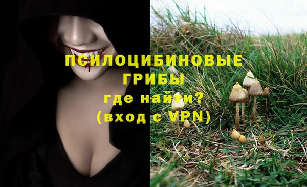 стаф Киреевск