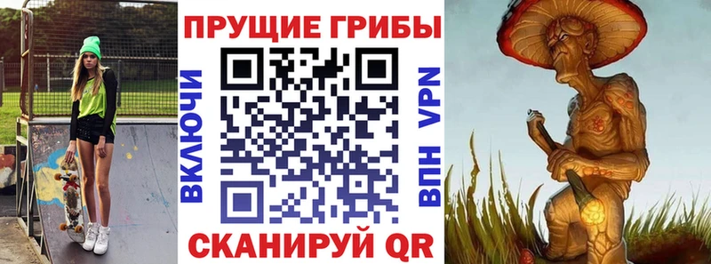 Купить  Волчанск  Псилоцибиновые грибы GOLDEN TEACHER 